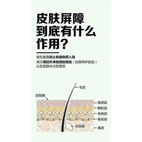 皮肤屏障受损是什么意思?如何修复皮肤屏障受损?