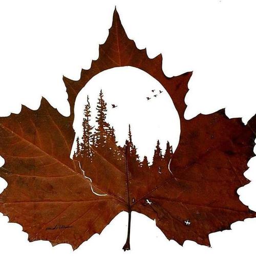 树叶艺术,一幅漂亮的风景画