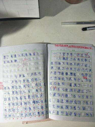      "智多星"卢思宁