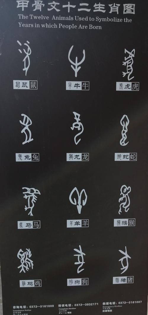 十二生肖甲骨文译
