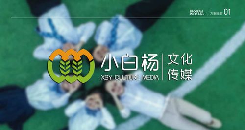 小白杨文化传媒logo提案