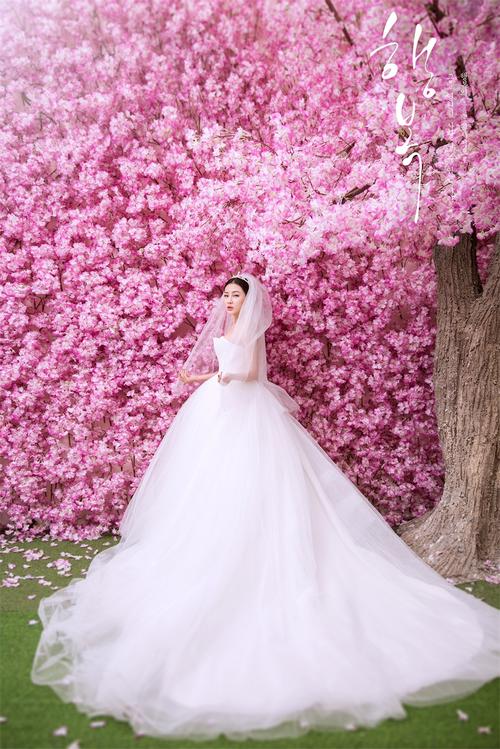 桃花| 深圳婚纱摄影>深圳婚纱照>皇家经典婚纱摄影作品