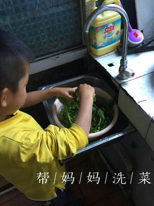 帮妈妈洗菜菜