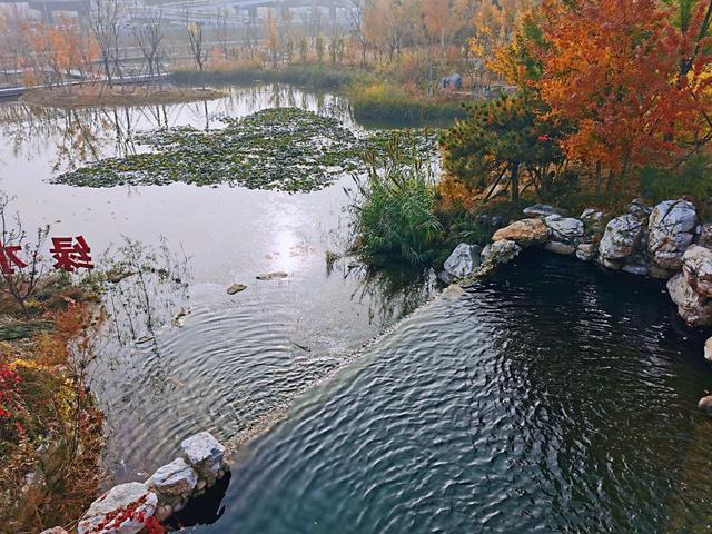 北京市民太幸福五环里突现湿地公园开放在即关键是免费