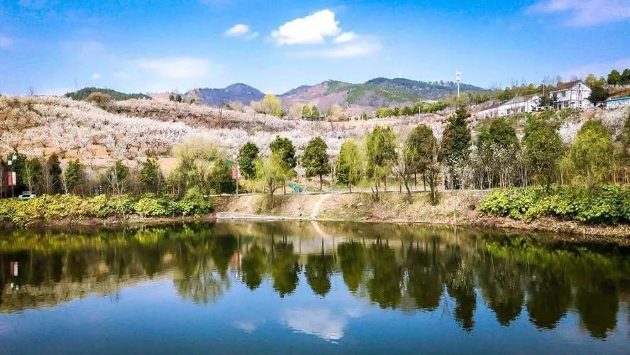 西乡樱桃沟空山不见人,樱花依旧开