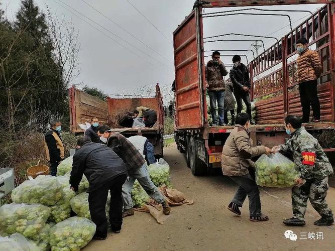 抗疫一线最美万州人万州一农民夫妇向湖北捐11吨蔬菜