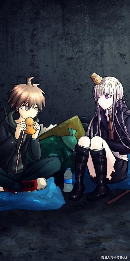 弹丸论破苗木诚和雾切响子简直不能更搭了动漫壁纸分享