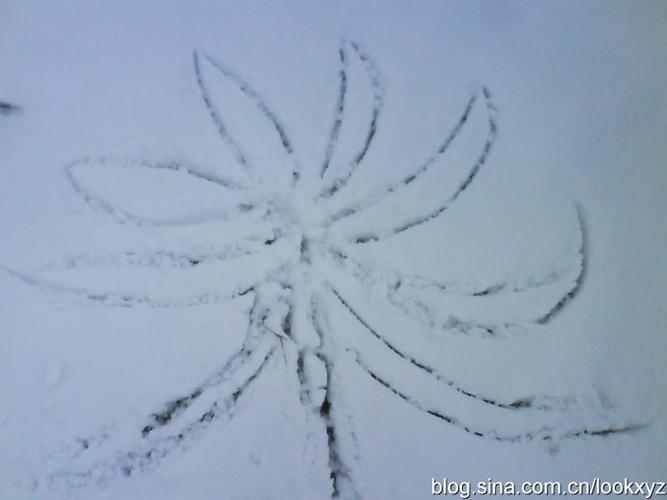 雪地上的图形还有很多,有"爱心笑脸",有"椰子树",有"大风车",还有"大