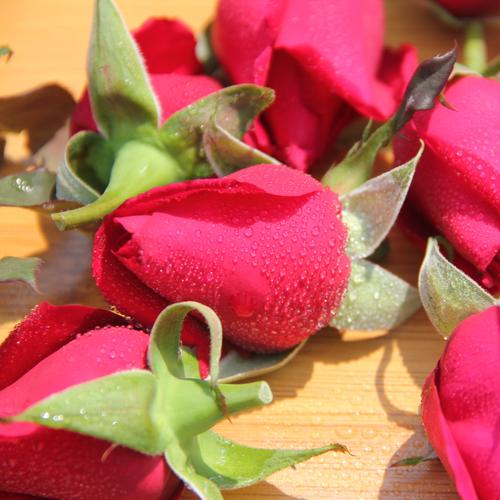 云南新鲜可食用玫瑰花1斤红玫瑰骨朵花瓣免洗可做食用