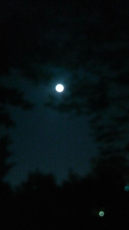 2016年11月13号晚上的月亮大又 圆