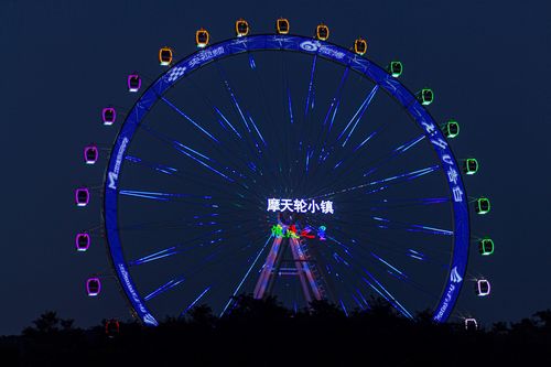 大连森林动物园摩天轮