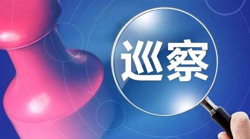 巡察!28日起,丹东将对这些单位开展政治巡察