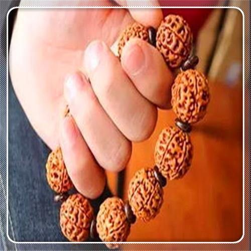 大金刚菩提里的龙爪大金刚菩提里的龙爪