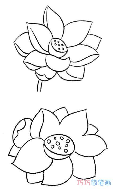 简单漂亮的荷花莲花简笔画怎么画好看