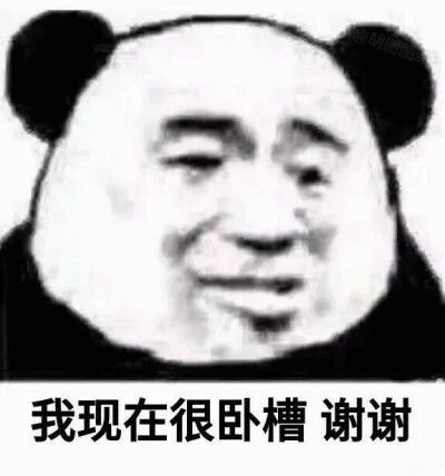 表情包包