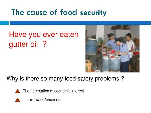 food security食品安全