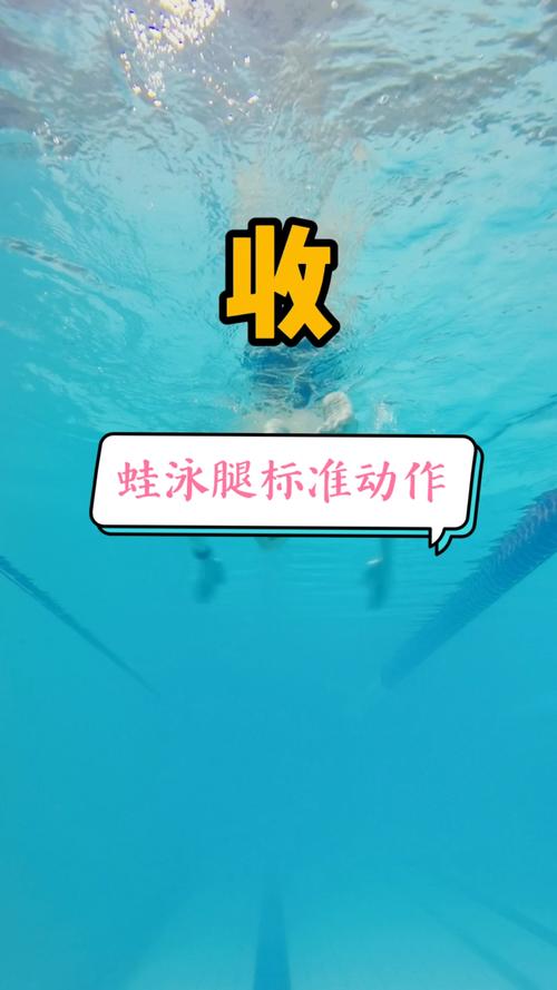 游泳网教蛙泳腿的标准动作