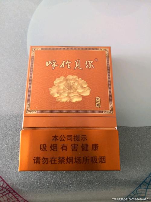 呼伦贝尔天之韵(128)