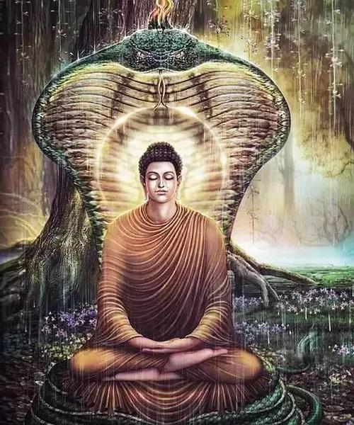 佛陀在树下打坐,天下大雨,感得龙王现身,以自己的身躯为佛陀遮风挡雨.