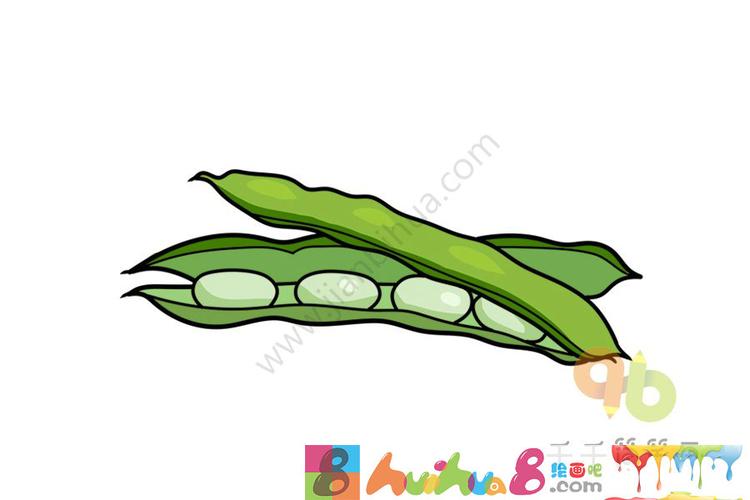 四季豆简笔画教程