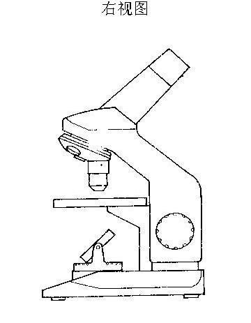 显微镜