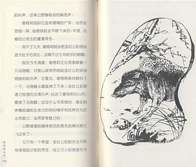 情豹布哈依/沈石溪动物传奇故事