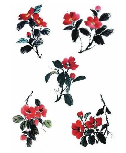 国画教程:山茶花的详细画法,真美!