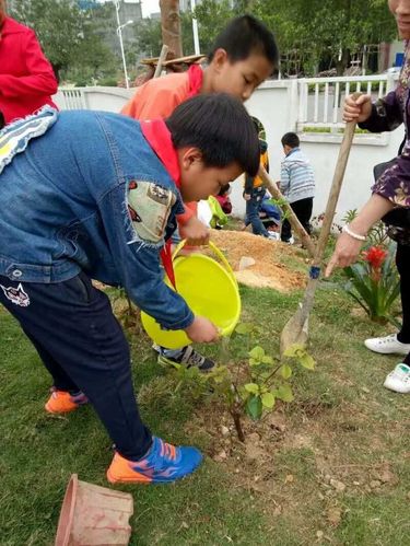 港口区第四小学"我为校园添绿意"植树活动 - 美篇