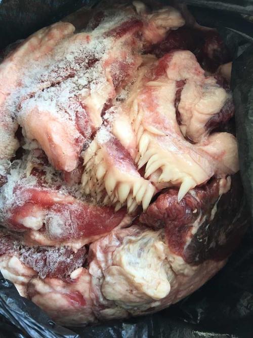 牛肉上长米粒一样的东西,长了很多,好恶心,问下是什么