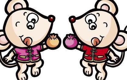 鼠女与猪男婚姻好不好请问男猪和女鼠相配吗