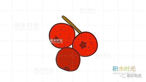 水果简笔画大全:画山楂简笔画