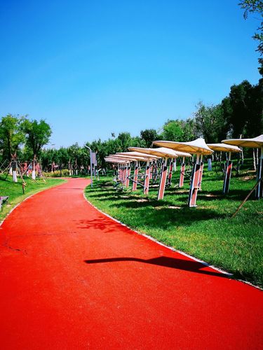 东丽湖生态健身公园