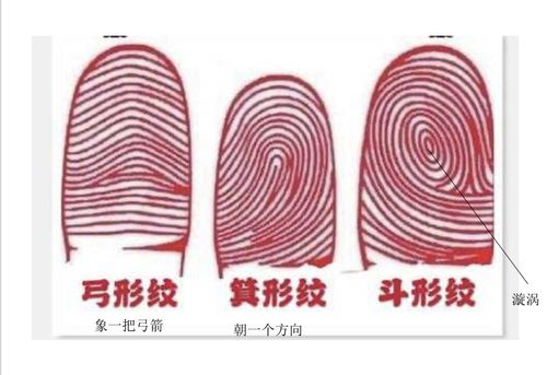 独特的指纹
