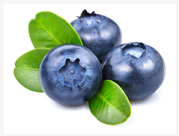 12,盆栽水果---蓝莓   种植蓝莓是非常棒的选择,喜欢那深蓝色的小果子