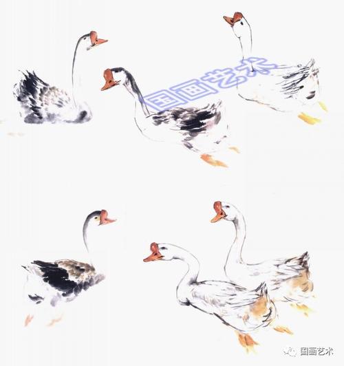由头部按顺序画起,画出身体结构,连接肚子,画出鹅的墨色浓淡变化,并