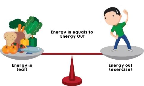 【减肥干货】减肥,究竟在减什么?能量平衡了解一下