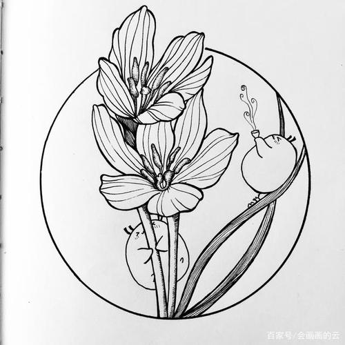 线描作品分享,适合新手学习的简笔画