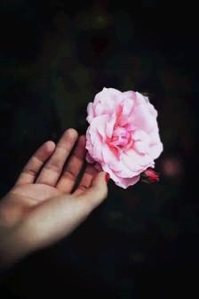 手捻一朵花
