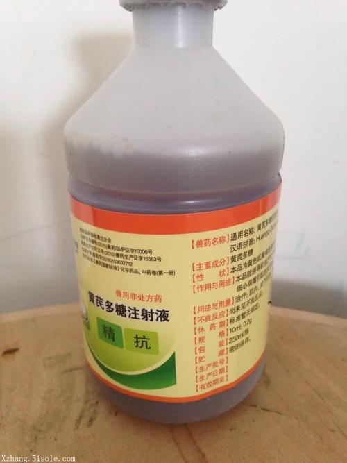 家禽患安卡拉病毒可怕吗