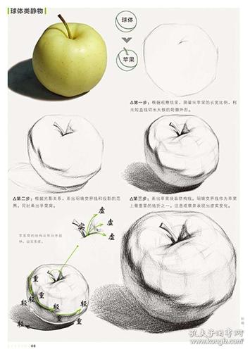 结构静物 敲门砖美术书 零基础自学正规教材素描基础教程铅笔画技法书