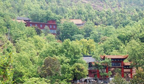 民间历史图集:四川会理县古城的街道