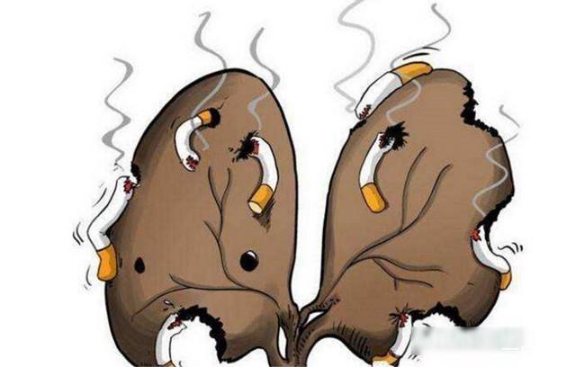 吸烟的十大危害 抽烟不仅伤肺还会改变基因