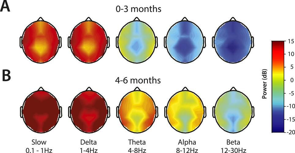 age-dependent electroencephalogram (eeg) patterns
