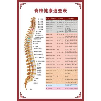 人体骨骼图挂图器官内脏结构图海报脊柱图解肌肉分布解剖图挂画pp背胶