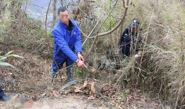 一男子捉了只"山鸡",换来半年刑期和2000元罚款!