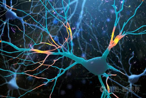 3d 人体神经细胞结构图