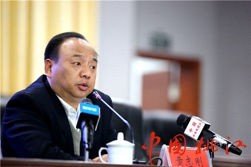 发布会由桃江县委常委,宣传部长胡国清主持.