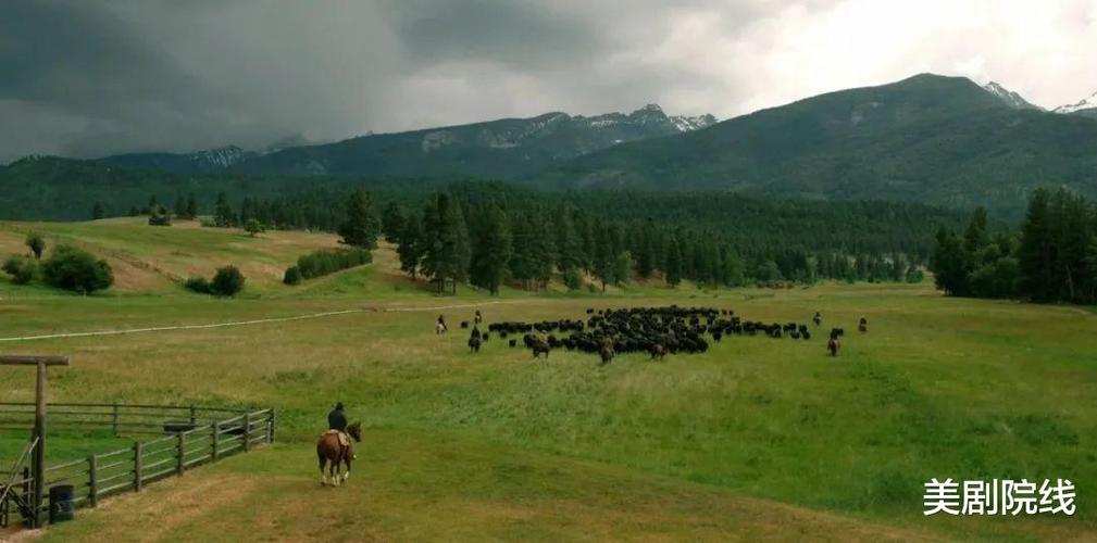 又来一部都市版《黄石》美剧,太狂野了!