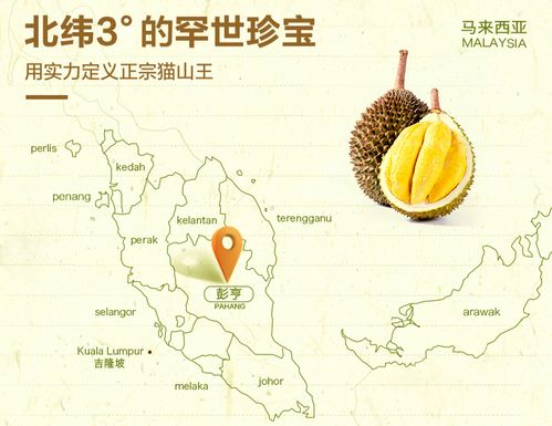 日照,高海拨,土壤肥沃,雨水适中使得彭亨州成为猫山王独一无二的优质