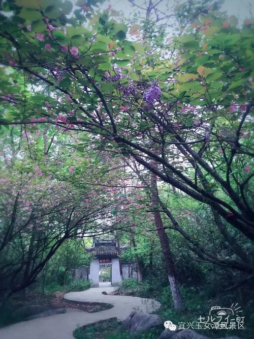 玉女潭风景区"彩蝶飞舞"开幕式圆满成功